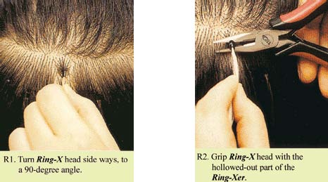 apply ring hair to the head